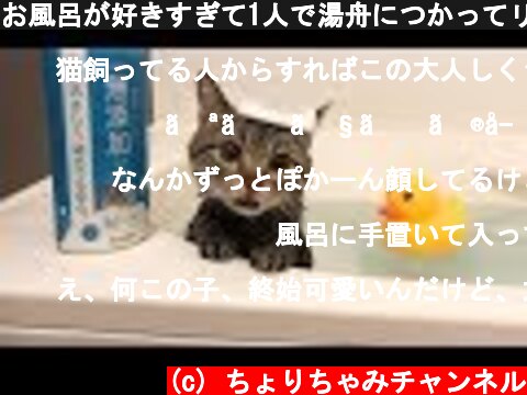 お風呂が好きすぎて1人で湯舟につかってリラックスする猫w  (c) ちょりちゃみチャンネル